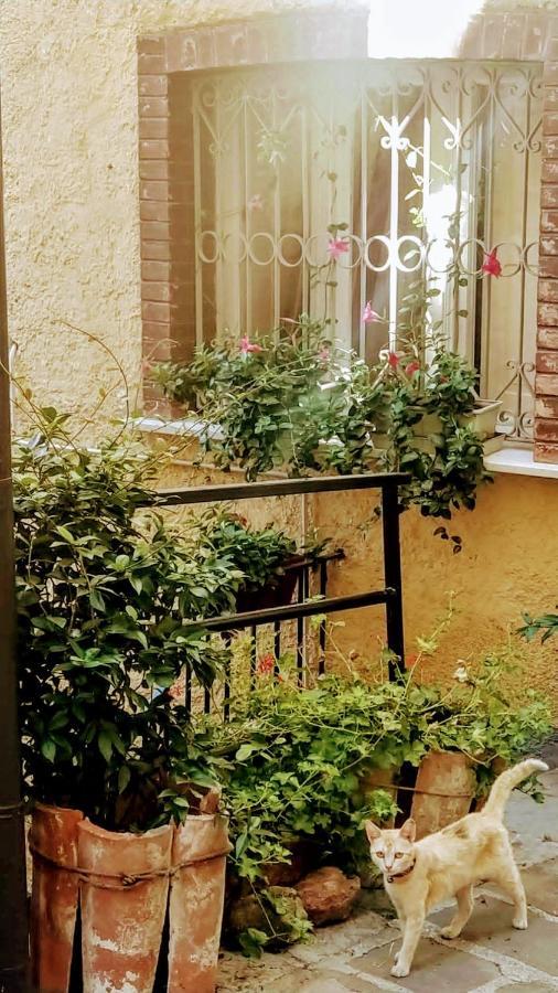 Apartament Casa Gaia Trivigno Zewnętrze zdjęcie